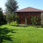 amenajare bacau (11)