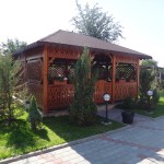 amenajare bacau (19)